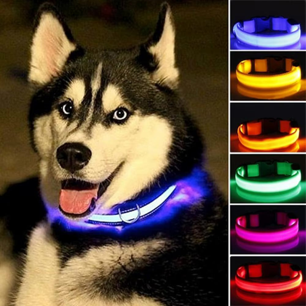 đŸ Collier LED RĂ©flĂ©chissant pour Chien â SĂ©curitĂ© & Style de Nuit