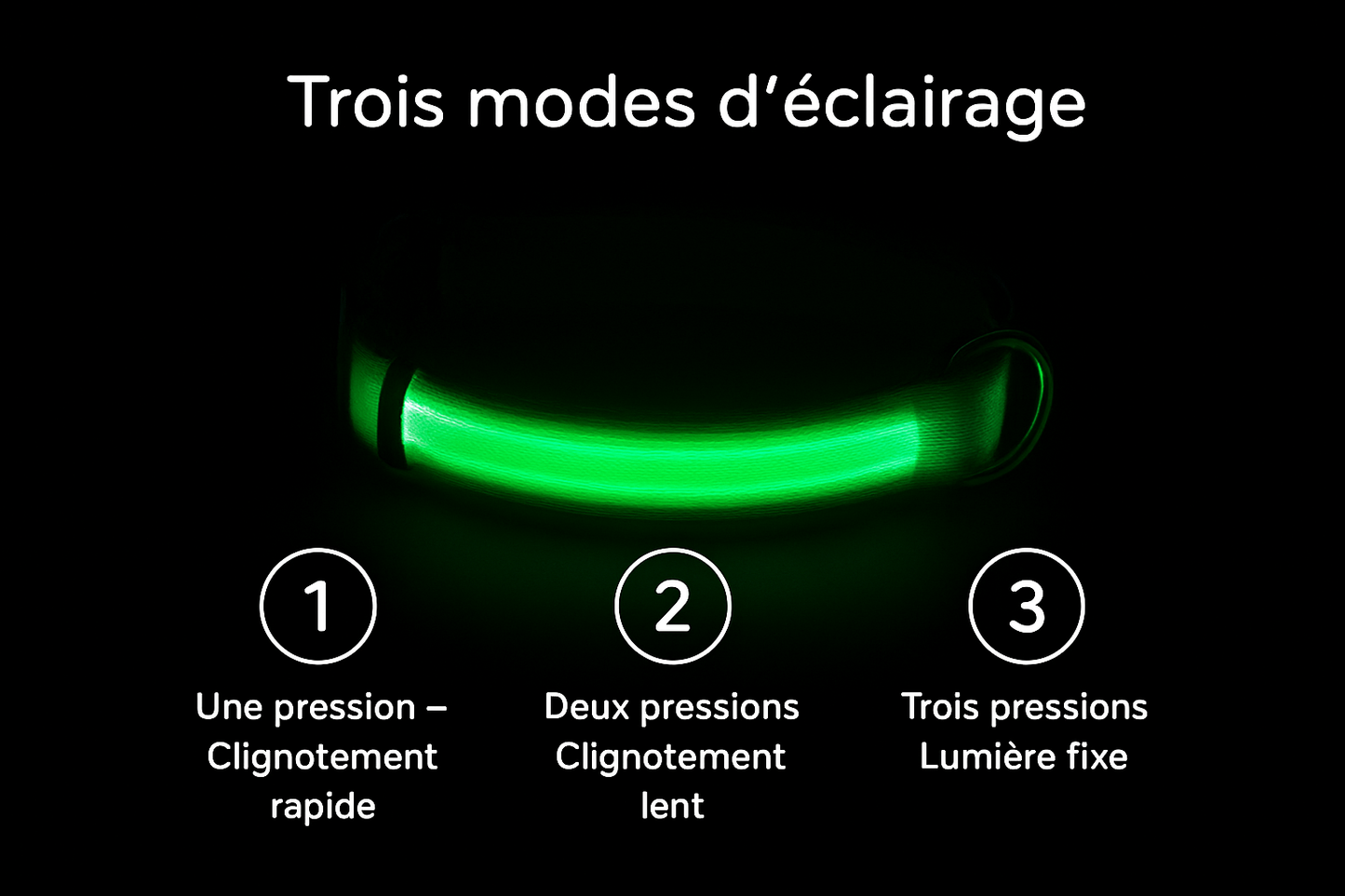 đŸ Collier LED RĂ©flĂ©chissant pour Chien â SĂ©curitĂ© & Style de Nuit